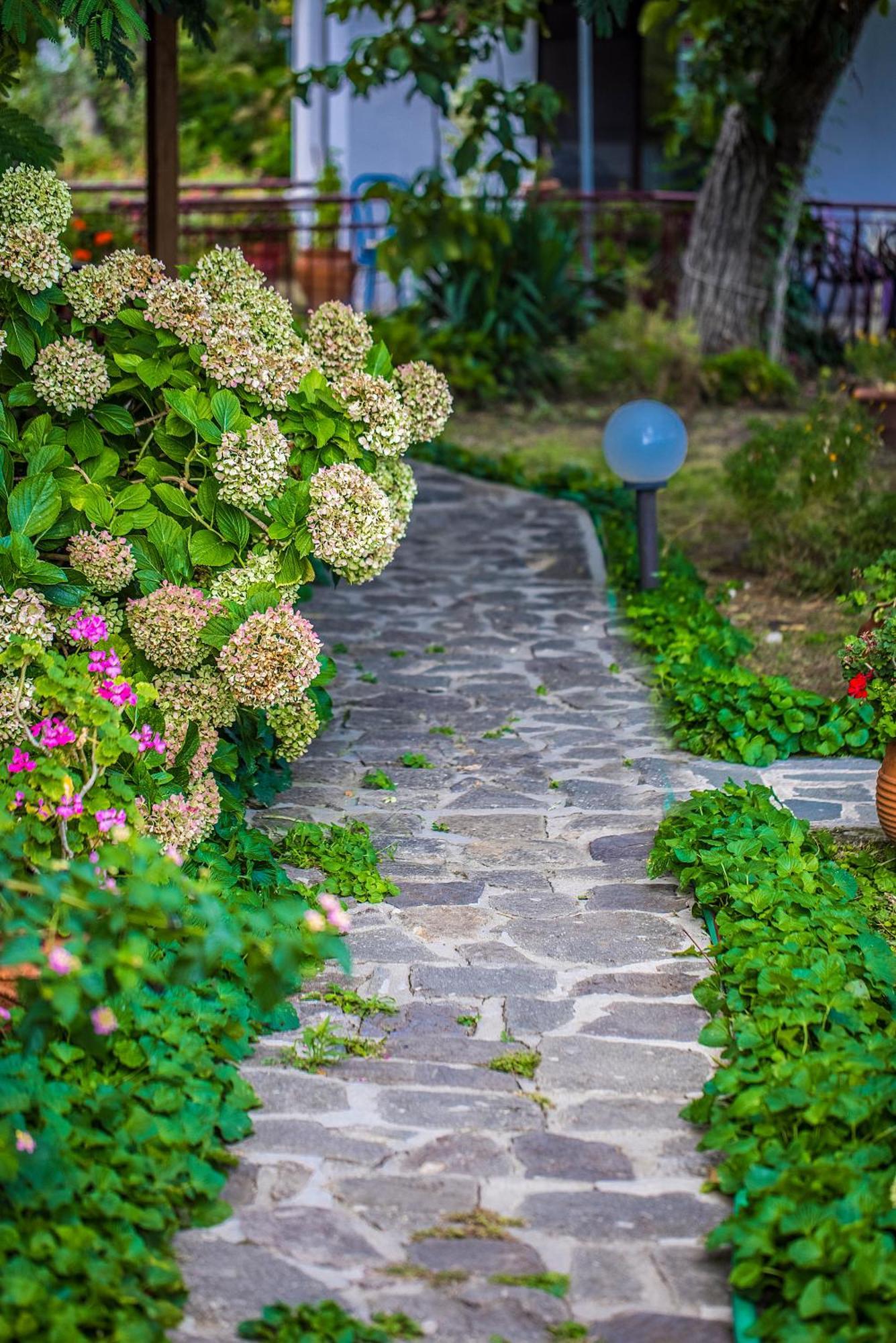 Alekas Studios ثيرما المظهر الخارجي الصورة